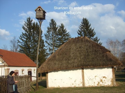 2015.03.07. Nagyatád és Kisbajom